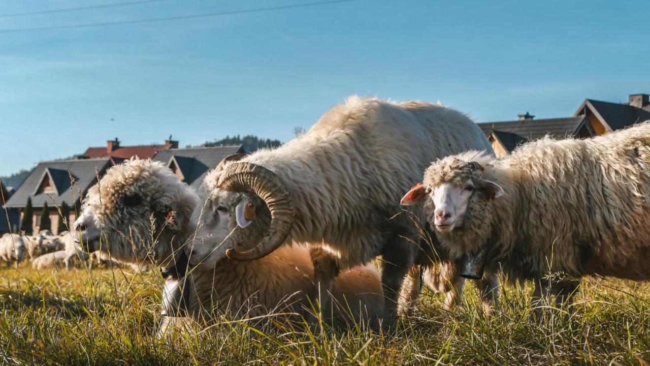 Domki U Adasia Krosnica  Esterno foto