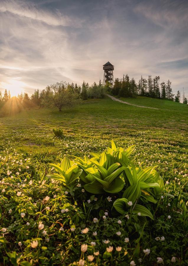 Domki U Adasia Krosnica  Esterno foto